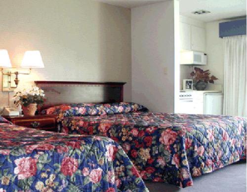 Coral Reef Inn & Condo Suites - image 4