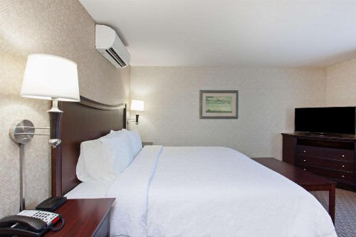 Hampton Inn & Suites Oakland Airport-Alameda - image 31