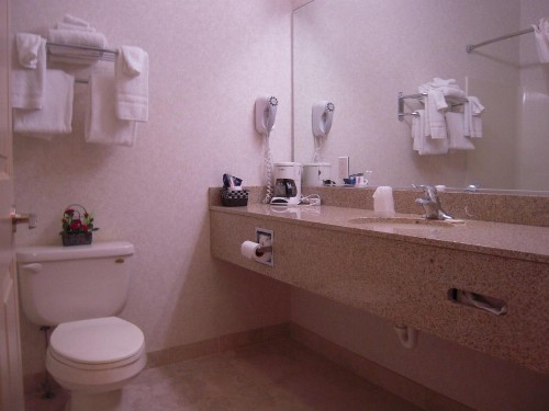 Super 8 by Wyndham Albany - image 12