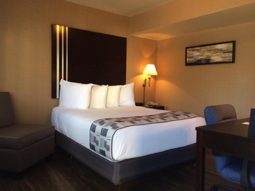 Super 8 by Wyndham Albany - image 2