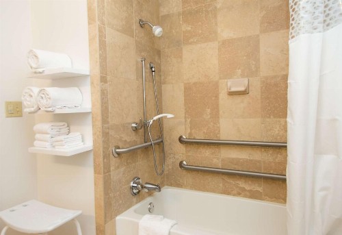 Hampton Inn & Suites Albany-Downtown - image 15
