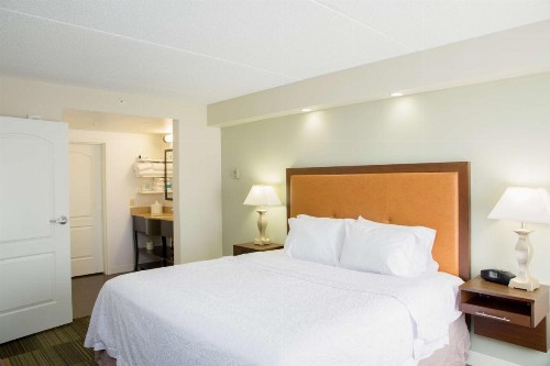 Hampton Inn & Suites Albany-Downtown - image 21