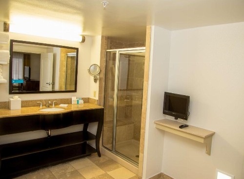 Hampton Inn & Suites Albany-Downtown - image 29