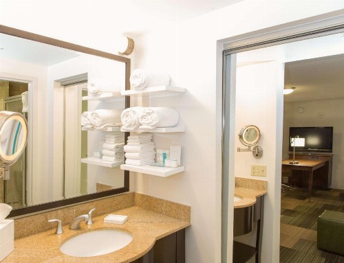 Hampton Inn & Suites Albany-Downtown - image 37