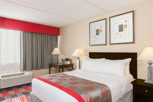 Ramada Plaza by Wyndham Albany - image 6
