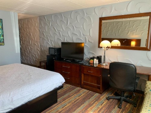 SureStay Plus Hotel by Best Western Albany Airport - image 36