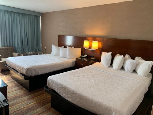 SureStay Plus Hotel by Best Western Albany Airport - image 37