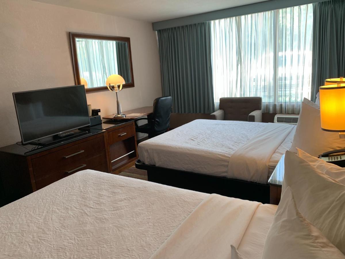 SureStay Plus Hotel by Best Western Albany Airport - image 4