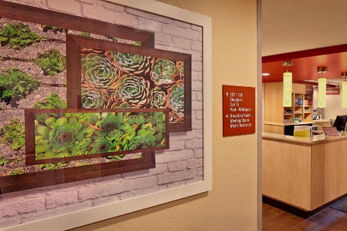 TownePlace Suites by Marriott Albany Downtown/Medical Center - image 23