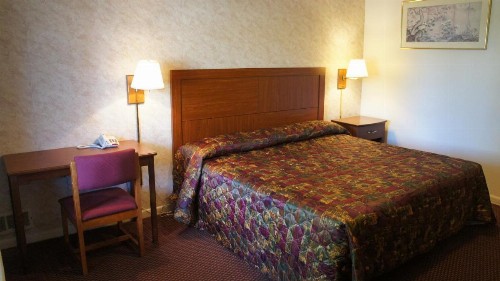 Red Carpet Inn Albany - image 10