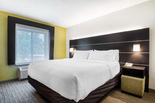 Holiday Inn Express & Suites - Albany Airport - Wolf Road an IHG Hotel - image 17