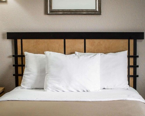 Econo Lodge Colonie Center Mall - image 13