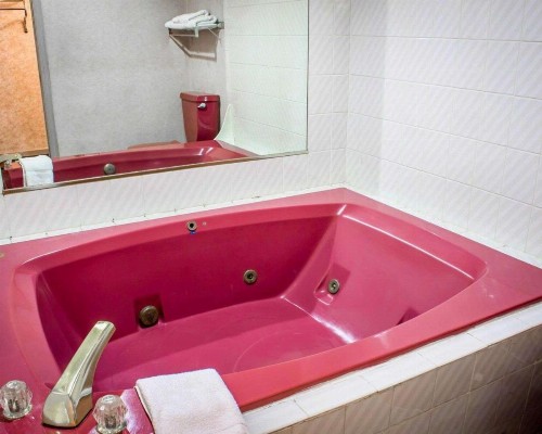 Econo Lodge Colonie Center Mall - image 21