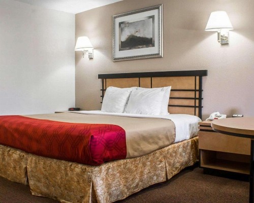 Econo Lodge Colonie Center Mall - image 24