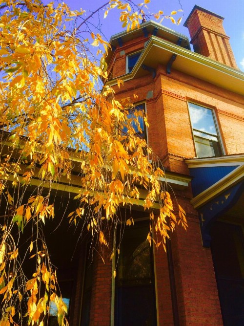 Washington Park Inn - image 29