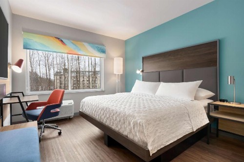 Tru By Hilton Albany Airport NY - image 23