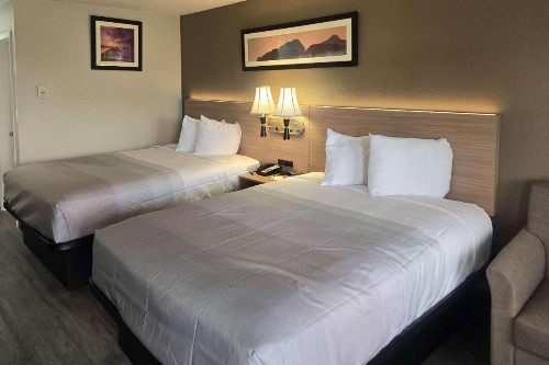 Super 8 by Wyndham Albuquerque Airport - image 6