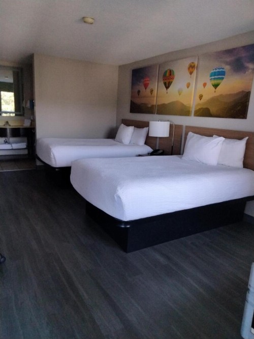 Days Inn & Suites by Wyndham Albuquerque North - image 16