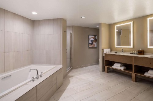 Embassy Suites by Hilton Albuquerque - image 19