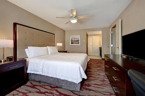 Homewood Suites by Hilton Albuquerque Airport - image 13