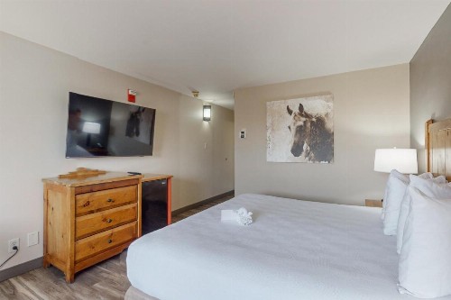 Best Western Plus Rio Grande Inn - image 47