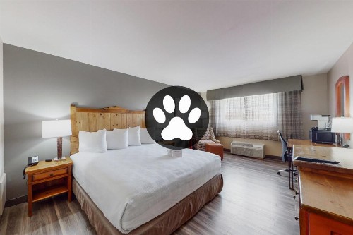 Best Western Plus Rio Grande Inn - image 48