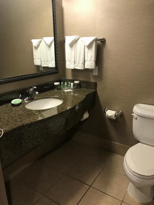 Holiday Inn Hotel and Suites Albuquerque - North Interstate 25 an IHG Hotel - image 24