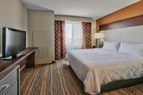 Holiday Inn Hotel and Suites Albuquerque - North Interstate 25 an IHG Hotel - image 36