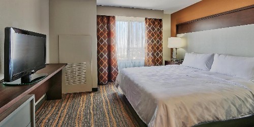 Holiday Inn Hotel and Suites Albuquerque - North Interstate 25 an IHG Hotel - image 38
