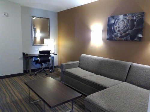 Holiday Inn Hotel and Suites Albuquerque - North Interstate 25 an IHG Hotel - image 8