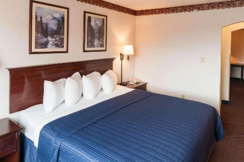 Quality Suites Albuquerque - image 32