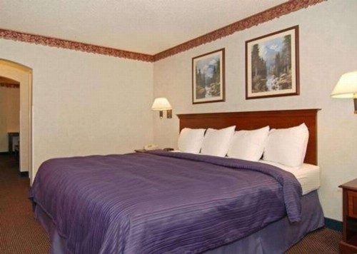 Quality Suites Albuquerque - image 39