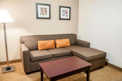 Comfort Suites Albuquerque - image 11