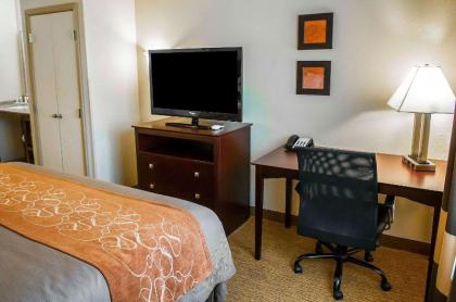 Comfort Suites Albuquerque - image 13