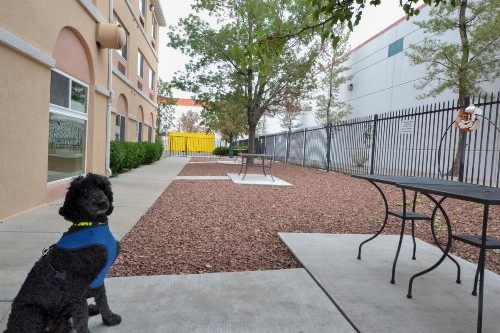 Days Inn & Suites by Wyndham Airport Albuquerque - image 34