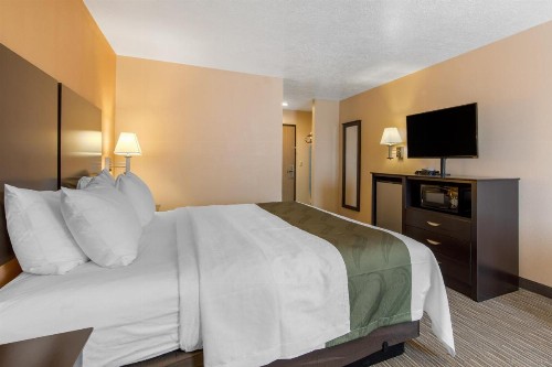 Quality Inn & Suites Albuquerque North near Balloon Fiesta Park - image 18