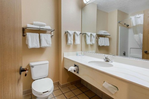 Quality Inn & Suites Albuquerque North near Balloon Fiesta Park - image 19
