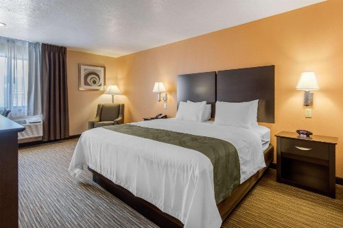 Quality Inn & Suites Albuquerque North near Balloon Fiesta Park - image 24