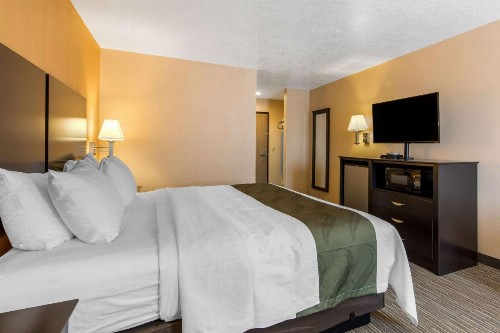 Quality Inn & Suites Albuquerque North near Balloon Fiesta Park - image 26