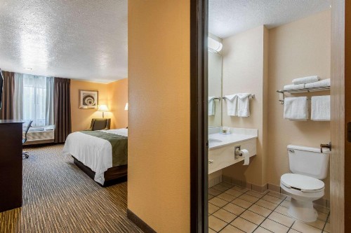 Quality Inn & Suites Albuquerque North near Balloon Fiesta Park - image 27