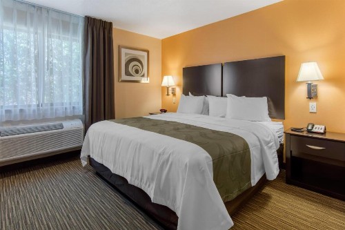 Quality Inn & Suites Albuquerque North near Balloon Fiesta Park - image 3