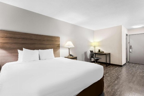 SureStay Hotel by Best Western Albuquerque Midtown - image 31