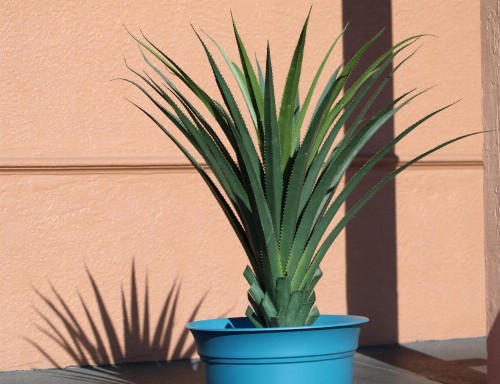San Mateo Inn - image 10