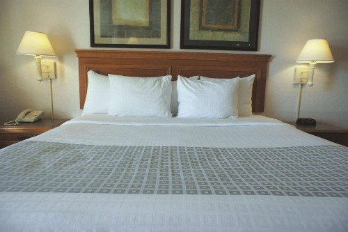 La Quinta Inn by Wyndham Albuquerque Airport - image 29