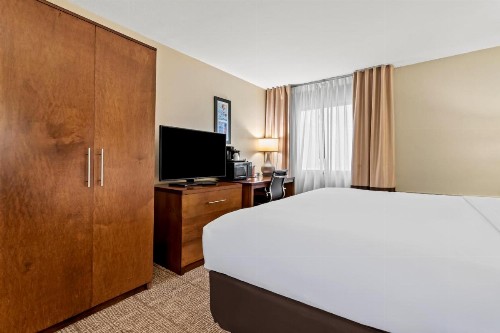 Comfort Inn & Suites Albuquerque Downtown - image 12