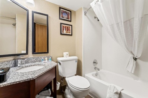 Comfort Inn & Suites Albuquerque Downtown - image 17