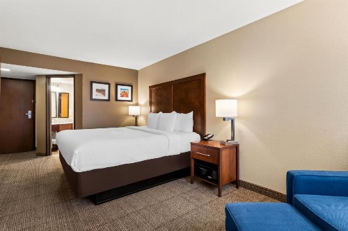 Comfort Inn & Suites Albuquerque Downtown - image 3