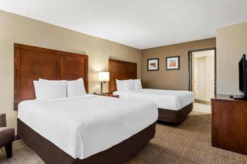 Comfort Inn & Suites Albuquerque Downtown - image 9