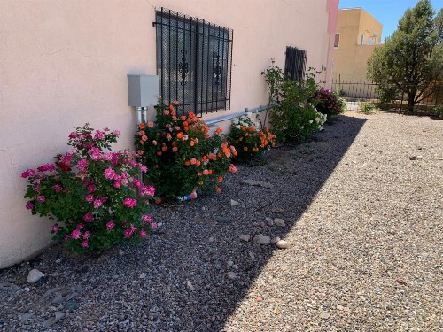 Luxury Inn - image 9
