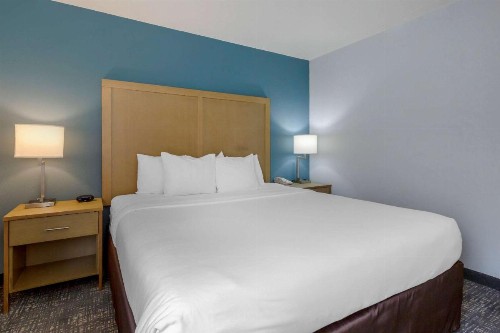 Comfort Inn & Suites Alexandria Van Dorn Street - image 10